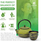 Lean + Green, Premium, 100% Japanese Green Tea, Garcinia Cambogia (as Super Citrimax) & Gymnema Sylvestre, for Weight Management, Appetite Control 24 ct - 4 Boxes, Javita