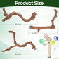 4-Piece Bird Perch Set with Rotating Ball Stand - Natural Wood Bird Gym & Playground for Parrots, Cockatiels, Budgies