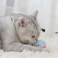 Rubber Cat Toy Balls with Inside Bell, Soft TPR Interactive Cat Ball Toys for Puppy Dogs and Kittens, Colorful Hollow Teeth Grinding Ball Interactive Sound Toy for Indoor Cats, 3 Pcs