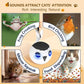 ORSDA Cat Ball Toys, Interactive Cat Toy for Indoor Bored Indoor Cats Kitten Toys, Automatic Electric Bird Moving Ball Toy, 4 Mode Voice & Touch Control Rolling Chirping Stimulating, 2 Feather Tails