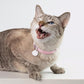 Safety Cat Collar Pro - U.S. IDA Gold Awarding Design, Elastic Quick Release Cat Collar with Buckle Non Breakaway - Lightweight for Kitten All Small Large Cats (Sierra Blue, M 7.9-15.7")