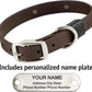Biothane Custom Dog Collar – Waterproof, Stink-Proof Personalized Collar with Name & Phone Number – Durable, Many Sizes and Colors – Assembled in USA (Chocolate Brown)