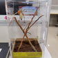 Magnetic Acrylic Case, micro habitat small Tarantula Enclosure enclosure for arboreal Tarantula Scorpion Sling Lizards Mantis Snake Gecko jumping spider snail Insect Isopods (4.7*4.7*7.8 inch)