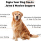 Joint & Recovery | 2-in-1 Joint & Muscle Chews. Help Reduce Pain & Increase Daily Activity. Helps with Arthritis and Pain Prevention. Tasty Trout Flavor.