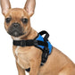 rabbitgoo Dog Harness for Small, Easy On Pet Vest with One Buckle, No Pull Adjustable Service Harness with D-Ring & Handle, Reflective for Safety Walking, Training, Blue, S