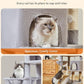 Taoqimiao 56.3-Inch Cat Tree, Cat Tower with Scratching Posts, Cat Tree House for Indoor Cats with hammocks, Toys, Condo and Large Scratch Board, Light Gray MS012W