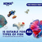 KOIKA BACM Natural Color Enhancement for Fish, Combination of Probiotic & Multi-Vitamins for Aquarium A, B6, B2, Pleasant Smell (BACM (New Formula), 30ml)
