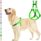 PUPTECK No Pull Dog Harness Soft Adjustable Basic Nylon Step in Puppy Vest Outdoor Walking with ID Tag, Green, L
