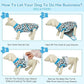 Kuoser Dog Recovery Suit for Dogs After Surgery,Professional Surgical Onesie for Female Male Dogs Spay Neuter,Soft Dog Surgery Suit Bodysuit for Abdominal Wounds Skin Disease,Blue Leopard L
