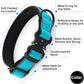 Plutus Pet Tactical Dog Collar, Reflective, Adjustable Heavy Duty Dog Collar, Soft Padded and Comfortable, for Small Medium and Large Dogs (Cyan, L)