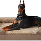 INVENHO Orthopedic Extra Large Dog Bed, XXL Waterproof Dog Sofa, Egg-Crate Foam Couch with Washable Removable Cover, Waterproof Lining and Nonskid Bottom