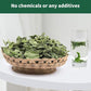 Nature Treats for Small Animals Dried Mint Leave 12 OZ - Dust Free Natural Green Fresh for Pets Rabbits, Rich in nutrients Alleviate Digestive Improve The Oral Health of Pets