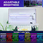 Beginner Betta Fish Tank Aquarium kit Intelligent Timed Shutdown, Seven LED Lights, Adjustable Brightness, High-Transparency Glass, Efficient Filtration Gallon (6 Gallon)