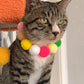 40-Pack Cat Balls – Fun Interactive Toys for Indoor Cats & Kittens (Basic Cat Toy Set)