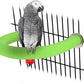 Rypet U Shape Parrot Perch Stand Toy for Paw Grinding Clean Stick Exercise, Rough-Surfaced Quartz Bird Perch Standing Cage Accessories for for Small Parakeets Cockatiels Conures Macaws Finches(Green)