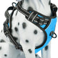 PoyPet No Pull Dog Harness, Reflective Comfortable Vest Harness with Front & Back 2 Leash Attachments and Easy Control Handle Adjustable Soft Padded Pet Vest for Small to Large Dogs (Blue,XS)