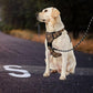 IVY&LANE No Pull Dog Harness with Leash Set, Reflective No Choke Pet Vest,Adjustable Oxford Dog Vest Harness with Easy Control Handle for Large Dogs (Dark Brown,L)
