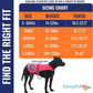 Dog Reflective Vest – Hi-Vis Fluorescent Visibility That Helps to Safeguard Your Pet On/Off Leash in Urban & Rural Areas (Pink, X-Small)