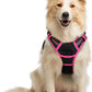 rabbitgoo Dog Harness No Pull with 2 Leash Clips, Adjustable Soft Padded, Reflective Oxford No Choke Pet Vest with Easy Control Handle for Large Dogs, Black & Hot Pink, M