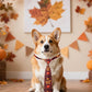 PET SHOW 10 Pack Fall Dog Ties Neckties for Large Medium Dogs Pumpkin Maple Leaf Adjustable Neck Ties Girl Boy Pets Autumn Costumes Dog Holiday Grooming Accessories Wedding Party Gift Favor