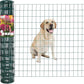 Green PVC Coated Welded Wire Fence 36 Inch x 25 Foot, 2 Inch x 3 Inch 16GA, Garden Border Fencing Roll Vinyl Coating Metal Wire Mesh for Yard Vegetable Plant Protection Poultry Netting