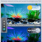 Pawfly 3 W Aquarium LED Light 7.5 Inch Underwater Fish Tank Light with Full Spectrum IP68 Waterproof White Blue Red Lights with Daytime & Night Mode Timer Auto On/Off and Adjustable Brightness