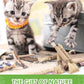 Silvervine Chew Sticks for Cats, 10 Pack Natural Catnip Chew Toys for Kittens Teeth Cleaning, Matatabi Dental Care, Increase Appetite, Calm Cat Anxiety and Stress, Aggressive Chewers Cat Dental Toy