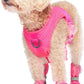 Canada Pooch Dog Boots for Hot Pavement - Dog Boots & Paw Protectors with Anti Slip Rubber | Water Friendly, Breathable Dog Shoes for Hot Days, Great for Dogs Neon Pink - Size 6