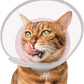 Cat Cone Collar Soft: Comfortable Waterproof Mesh Recovery Cone After Surgery to Stop Licking and Scratch, Alternative to Plastic Elizabeth Head/Neck Cone for Large Cats and Small Dogs
