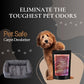 Spellbound Carpet Freshener Powder: Powerful Odor Eliminator for Home, Upholstery Deodorizer, Carpet Deodorizer, Pet Urine, Cat Litter Box - Spellbound Fragrance