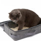 Cat Travel Litter Box, Portable Collapsible Litter Box with Lid, Small Pet Litter Box Leak Proof Litter Carrier for Cat (Rectangular)