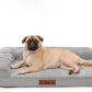 Orthopedic Dog Bed Medium Size Dog, 3 Inch Memory Foam Pet Bed for Small and Medium Dogs, Washable Removable Cover, Nonskid Bottom, Waterproof, 35x23 Inches, M Light Grey