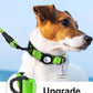 TagME Airtag Dog Collar,Waterproof Reflective Pet Collar with Airtag Holder,Soft Padded and Double D-Rings for Puppy,Green