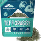 Blue Mountain Hay | Fresh Teff Grass Hay (48 Ounce) | Low NSC, High Fiber, Healthy Weight Management | High-Altitude Hay Pet Food for Rabbits, Guinea Pigs, Chinchillas, Hamsters, and Other Small Pets