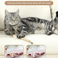 Tocirelo Kitten Chew Toys Teething - 6Pack Natural Silvervine Sticks for Cats, Matatabi Cat Feather Toy Chew Sticks, Cat Teeth Cleaning Treats for Indoor Bored Kitten