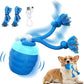 Interactive Dog Toys - [2025 Newly Upgraded] Motion Activated Ball for Small/Medium/Large Dogs, Automatic Moving Dog Toy Wicked Ball for Boredom & Training, Music, USB Rechargeable (Blue)