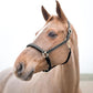 HORZE Largo Genuine Leather Horse Halter | Adjustable Padded Noseband and Crown
