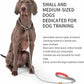 Dog Anti-Slip Leash 5FT with Metal Stopper - Durable No-Pull Training Lead for Small, Medium & Large Dogs - Comfortable Handle Nylon Rope, Tangle-Free Pet Walking Leash (Gray, 5 FT)