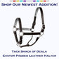 Leather Halter for Horses with Customized Engraved Name Plate Option Halter for Horse | Brown/Brass, Padded Halter (Blue or Green) Black/Brass, Black/Chrome Options