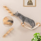 Cat Wall Shelves with 1 Floating Fabric Hammock, 2 Ladders with 4 Steps Each & 1 Flat Cat Shelf, Wall Mounted Bed Furniture & Climber, Indoor Playground