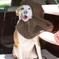 Soggy Doggy Super Shammy Dog Towel - Microfiber Chenille Towel for Drying Dogs and Cleaning Paws - Fast Drying with Hand Pockets for Ease (Dark Chocolate/Oatmeal Trim, 31” x 14”)