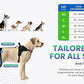 Comfortable Dog Knee Brace for Both Hind Legs with Harness - for ACL Tear, Luxating Patellae, Osteoarthritis & Instability - for Recovery & Injury Prevention in Active/Aging Dogs - (XLarge)