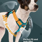 MIDOG No-Pull Dog Harness | Adjustable & Reflective Pet Harness Leash Set for Small Medium Large Dogs Walking, Training| No Choke, Front Clip, Soft Padded Vest with Easy Control Handle - Blue, XS