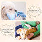 Mudder 6 Pieces Dog Grooming Comb - Double-Sided, Multipurpose Tool for Removing Tear Stains, Crust, Mucus, and Fleas from Small Pets Like Cats and Puppies