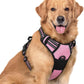 rabbitgoo Dog Harness No Pull with 2 Leash Clips, Adjustable Soft Padded, Reflective Oxford No Choke Pet Vest with Easy Control Handle for Large Dogs, Pink, XL