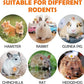 Sofier 28Pcs Timothy Hay Treats Rabbit Toys Bunny Toys Guinea Pig Natural Handmade Treats and Chews for Small Animals Hamster Chinchilla Rat Gerbil