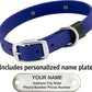 Biothane Custom Dog Collar – Waterproof, Stink-Proof Personalized Collar with Name & Phone Number – Durable, Many Sizes and Colors – Assembled in USA (Royal Blue)