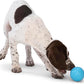 WEST PAW Boundr Ball Dog Fetch Toy – Bouncing Toys for Dogs, Fetch, Catch, Chewing, Play – Floatable, Recyclable Balls – Small Aqua Blue/Dandelion Yellow 2-Pack