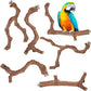 6-Piece Premium Bird Perch Stand with Natural Grape Wood Branch, Paw Grinding Fork, Chewing Stick, Cage Accessories for Parakeets, Budgies, Cockatiels, Finches, Lovebirds