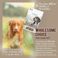 6 Natural Duck Neck Dog Treats – Single Ingredient, Dehydrated & Chewy – Low-Fat, High-Protein Training Reward – Made in USA